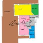 belluzzo_1_colore.jpg