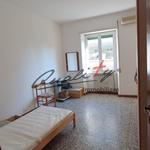 camera_13.jpg