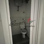 img_2382.jpg