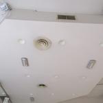 img_5523.jpeg