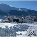 immagine_2025_02_14_1131091.jpg